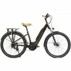 Vélo Électrique Granville E-Absolute 34+ Bordeaux 400 Wh 2023 -Kalkhoff Vélos Boutique e absolute 34 bordeaux 5 700x700 1